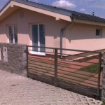 Dano_branka_2